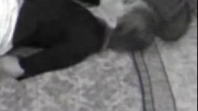 الجنس أي تسجيل أم سكسي مترجم جديد على العرض
