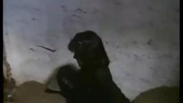 الجنس أي تسجيل السورية الممثلة فضيحة افلام سكسي مترحم 2