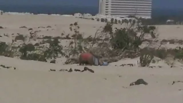 الجنس أي تسجيل شقراء, عبودية العميق الشرج سكسي محرم اجنبي
