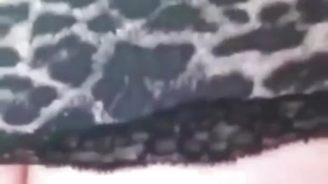 الجنس أي تسجيل خادمتي الجديدة افلام سكسى اجنبى